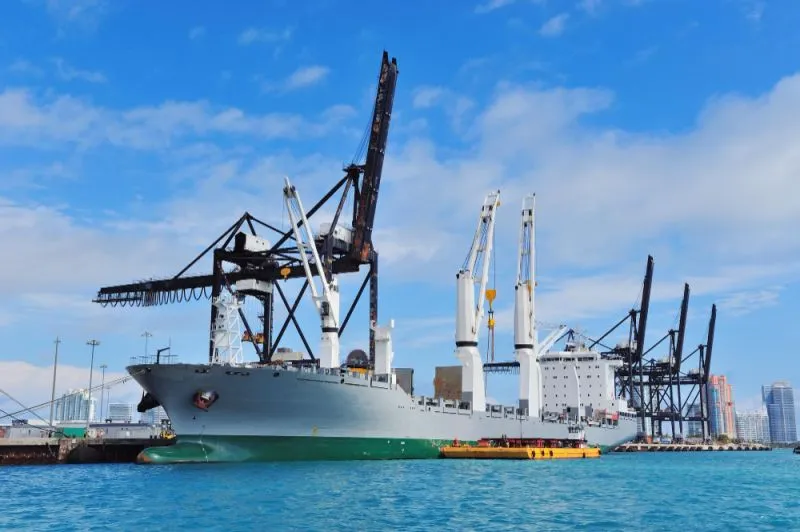 Andrew Bermejo's Professional Career